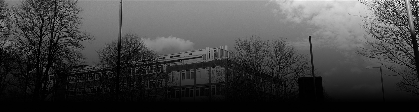 banner معاهد اللغات